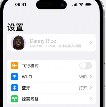 天等appleID维修服务iPhone设置中Apple ID显示为灰色无法使用 