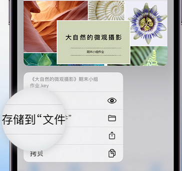 天等apple维修中心分享iPhone文件应用中存储和找到下载文件