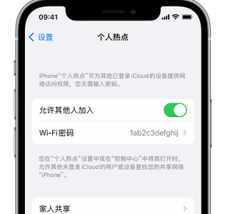 天等apple服务站点分享iPhone上个人热点丢失了怎么办