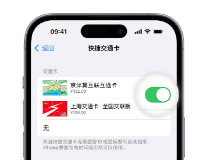 天等apple维修点分享iPhone上更换Apple Pay快捷交通卡手绘卡面 