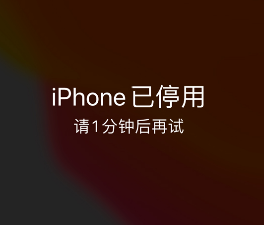 天等苹果手机维修分享:iPhone 显示“不可用”或“已停用”怎么办？还能保留数据吗？ 