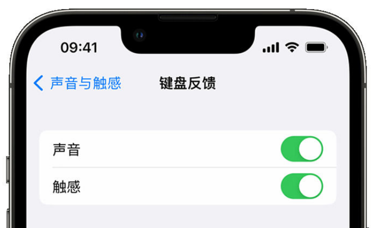 天等苹果手机维修分享iPhone 14触感键盘使用方法 