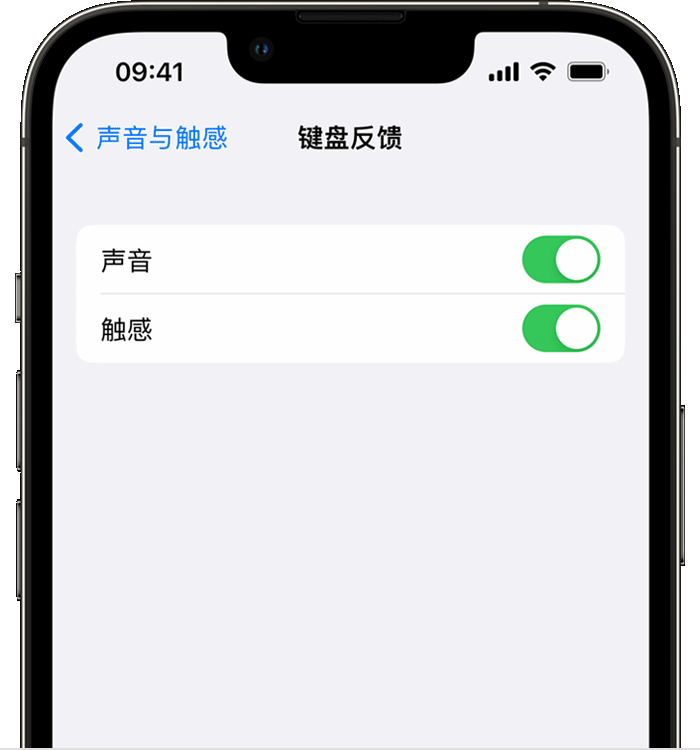 天等苹果14维修店分享如何在 iPhone 14 机型中使用触感键盘 