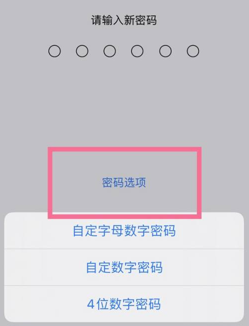 天等苹果14维修分享iPhone 14plus设置密码的方法 