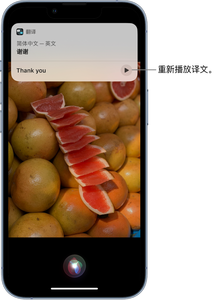 天等苹果14维修分享 iPhone 14 机型中使用 Siri：了解 Siri 能帮你做什么 