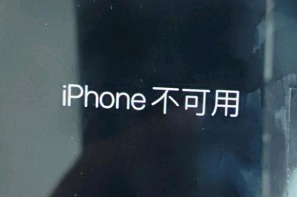 天等苹果服务网点分享锁屏界面显示“iPhone 不可用”如何解决 