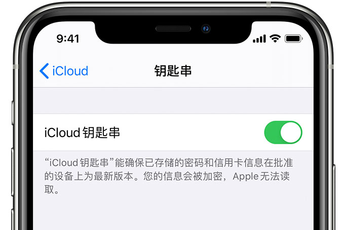 天等苹果手机维修分享在 iPhone 上开启 iCloud 钥匙串之后会储存哪些信息 