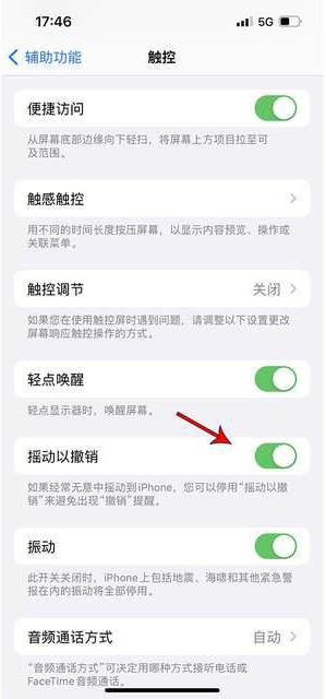 天等苹果手机维修分享iPhone手机如何设置摇一摇删除文字 